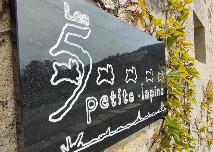 Les 5 Petits Lapins
